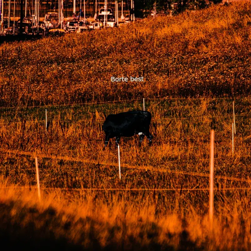 Cover Art