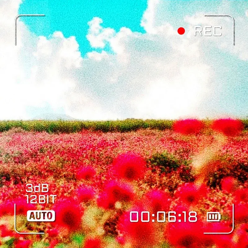 꽃다발 다음엔 꽃밭