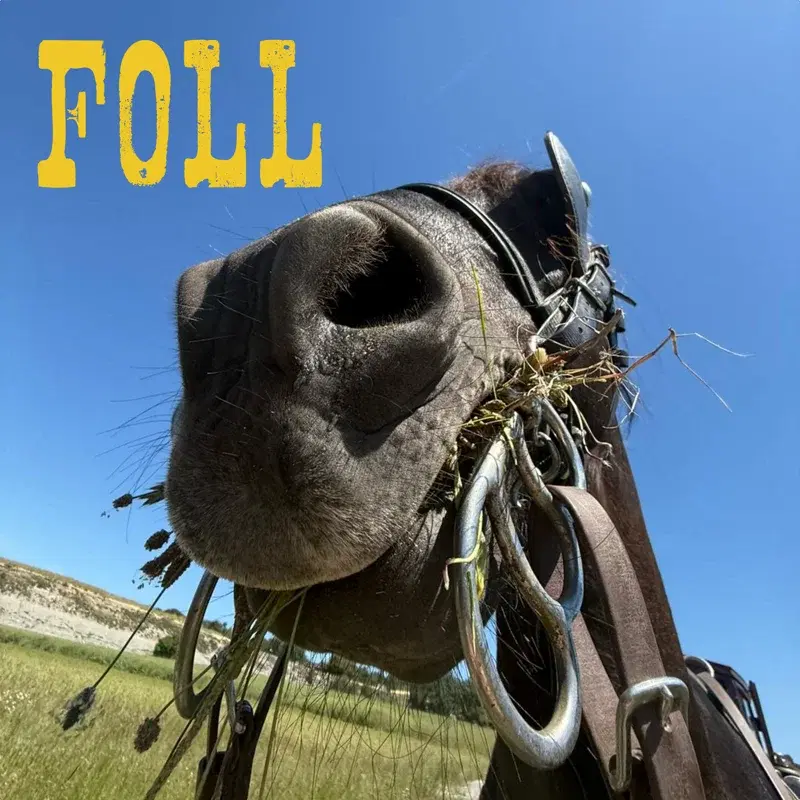 Foll