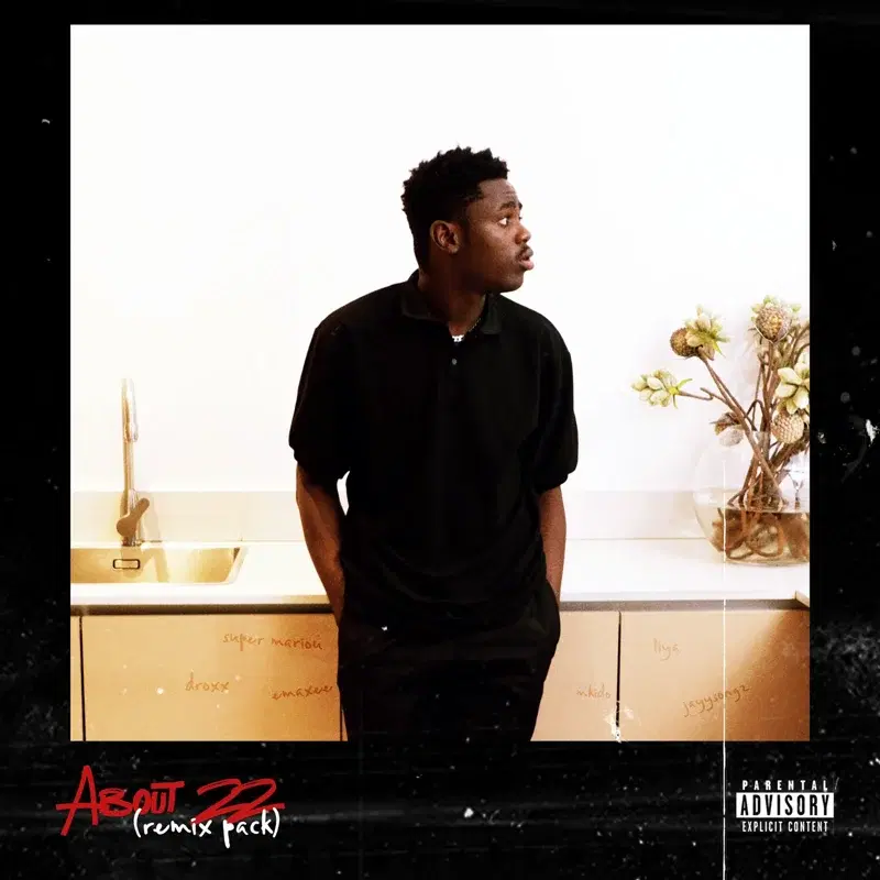 About 22 (Remix Pack)