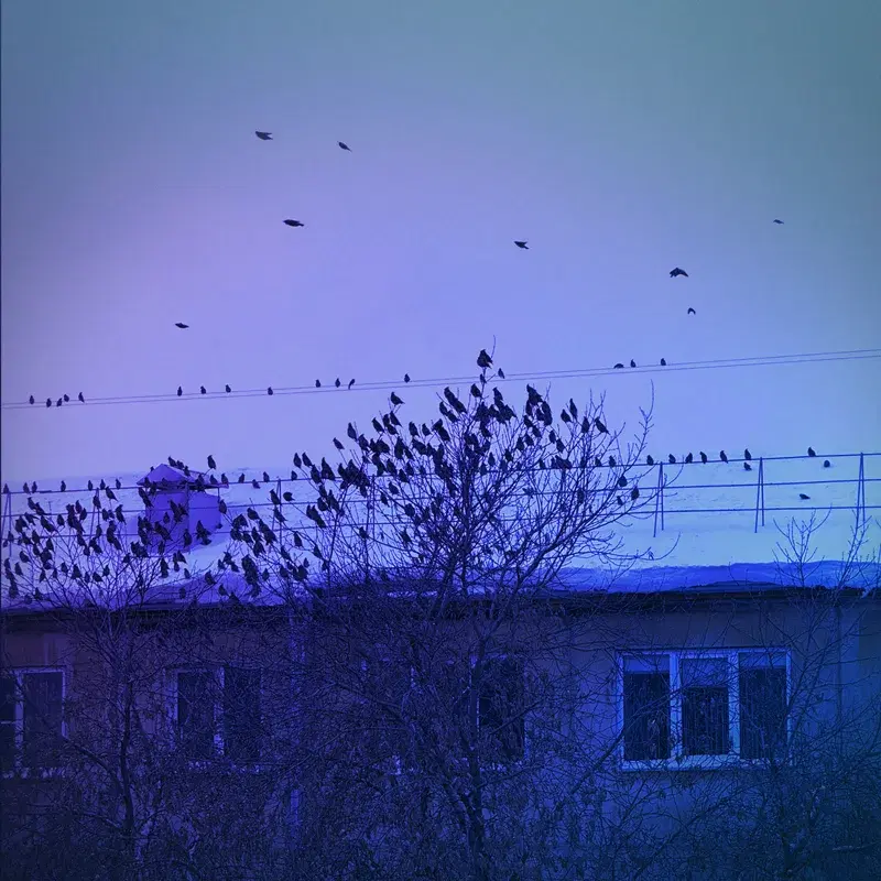 empty sky