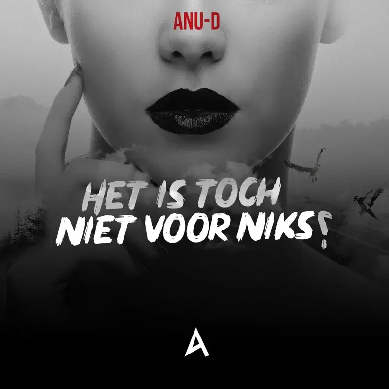 Het Is Toch Niet Voor Niks