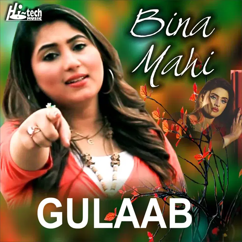Bina Mahi