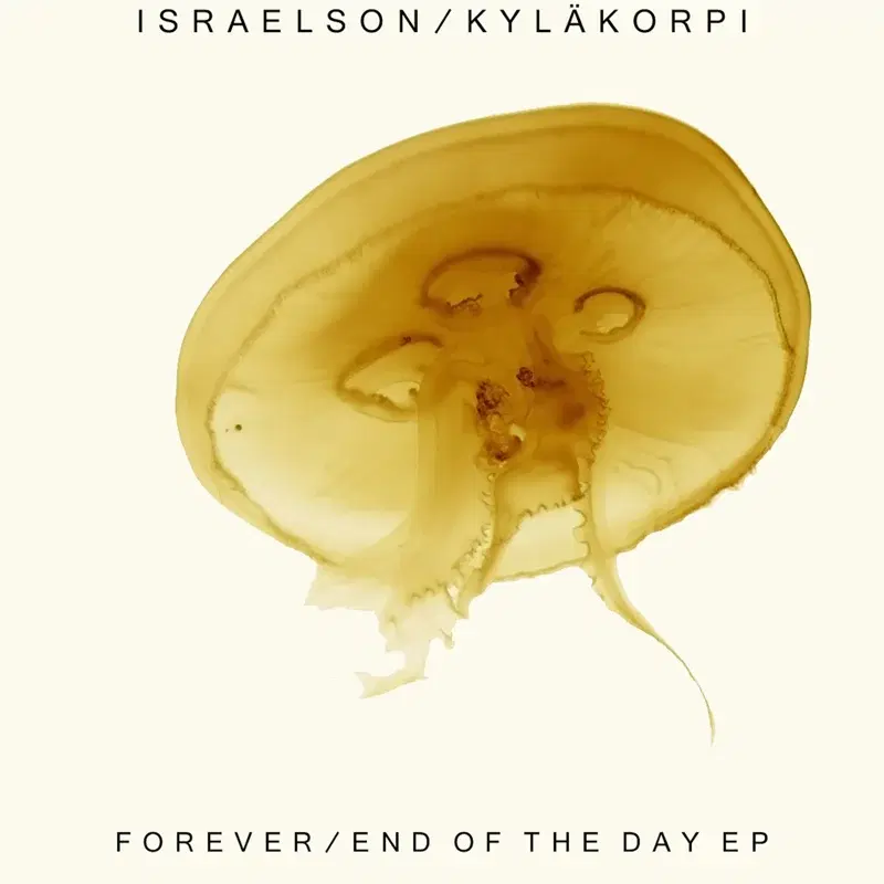 Forever/End of the Day - EP