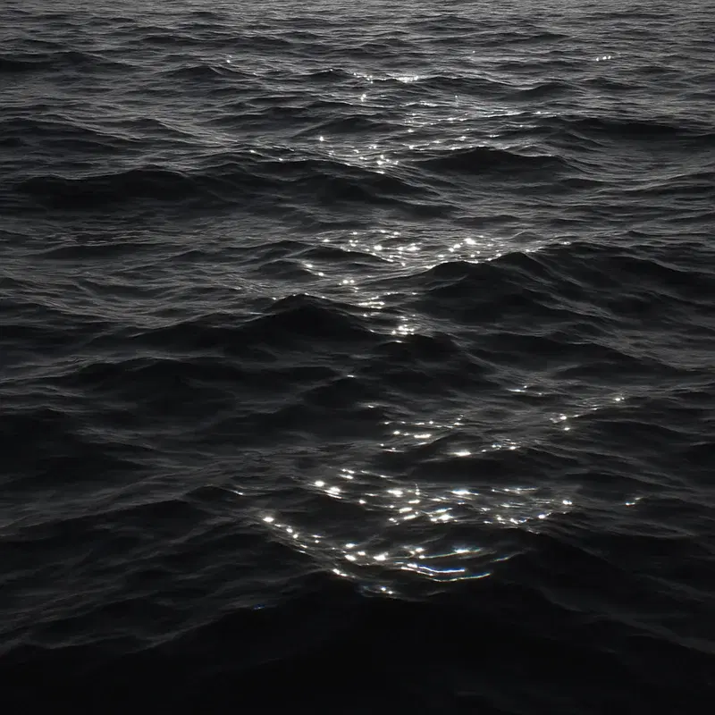 The Black Ocean
