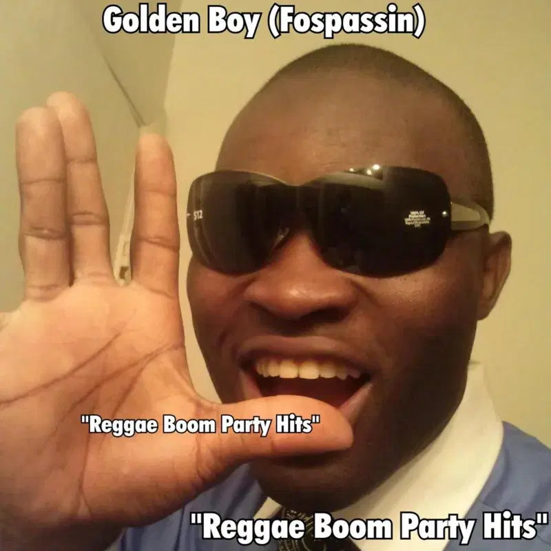 Reggae Boom Party Hits