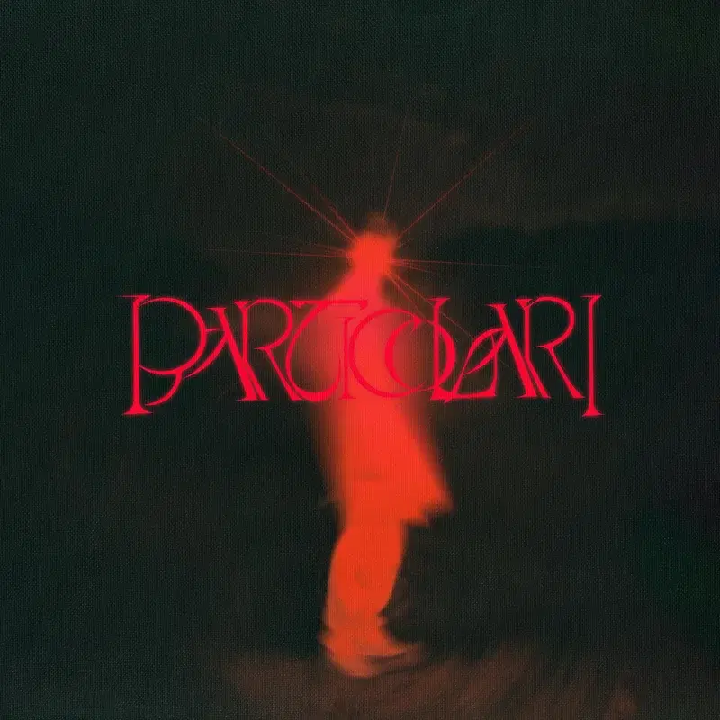 Particolari