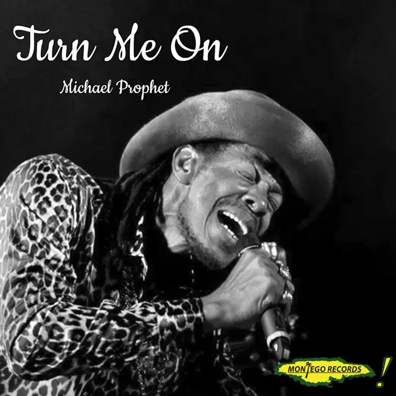Turn Me On