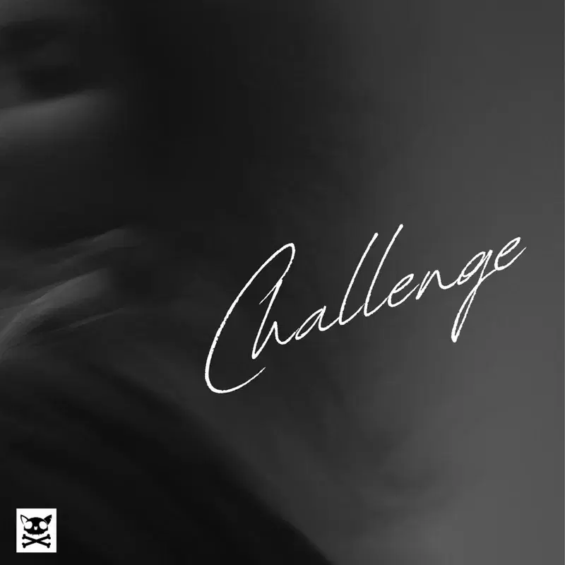 CHALLENGE