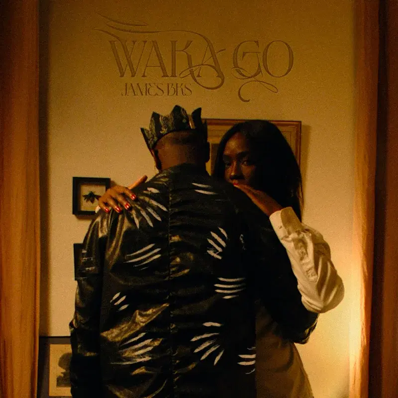 Waka Go