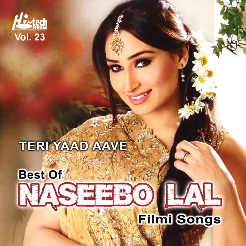 Teri Yaad Aave - Best Of Naseebo Lal Filmi Songs Vol. 23