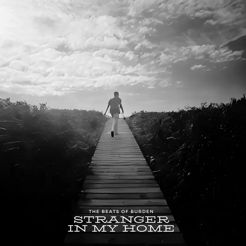 Stranger in My Home