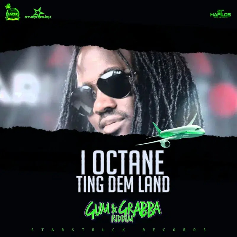 Ting Dem Land - Single