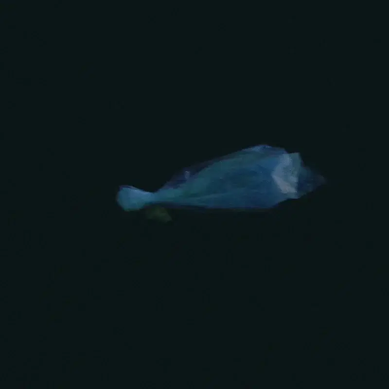 Yoake - Music from and Near the Film