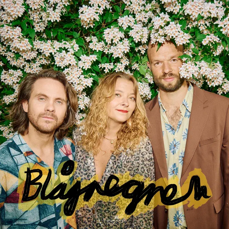 Blåregnen