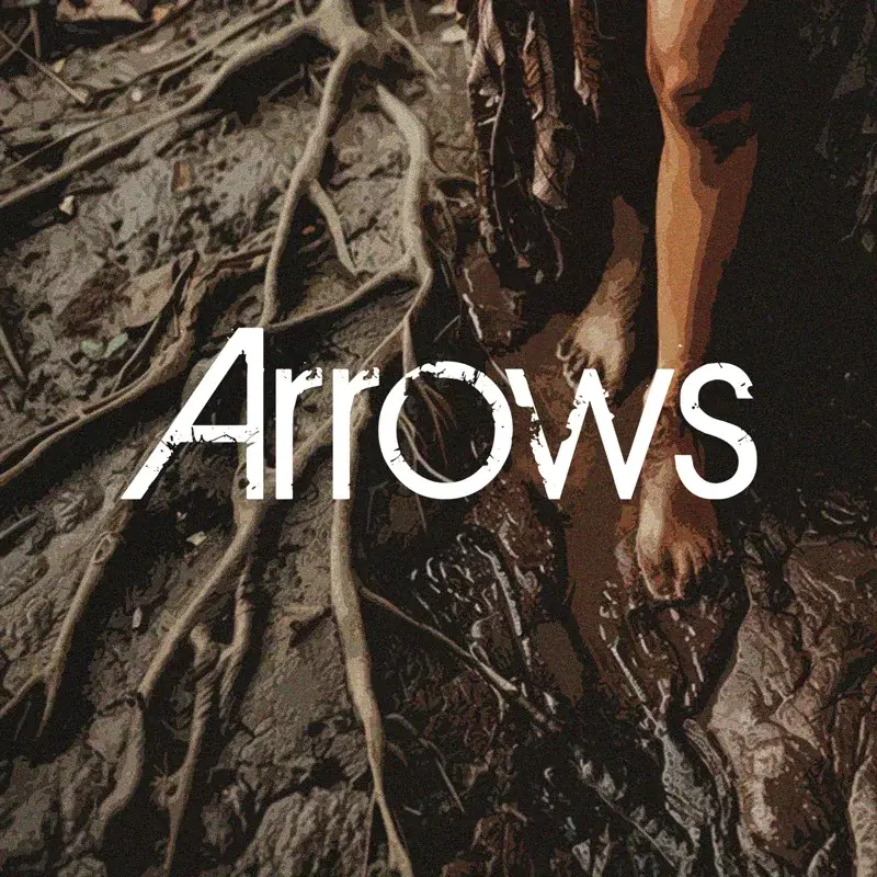 Arrows