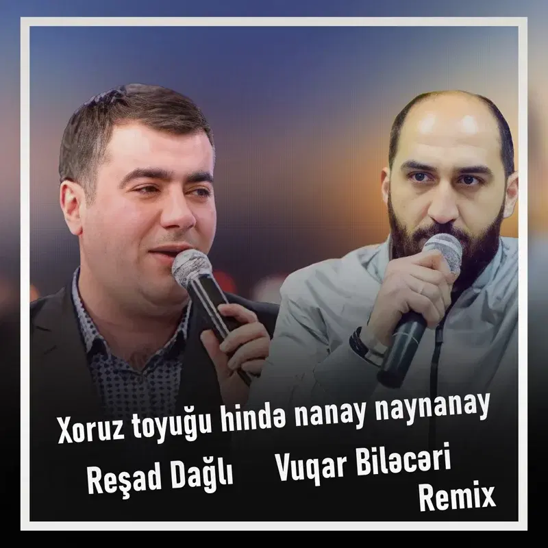 Xoruz toyuğu hində nanay naynanay