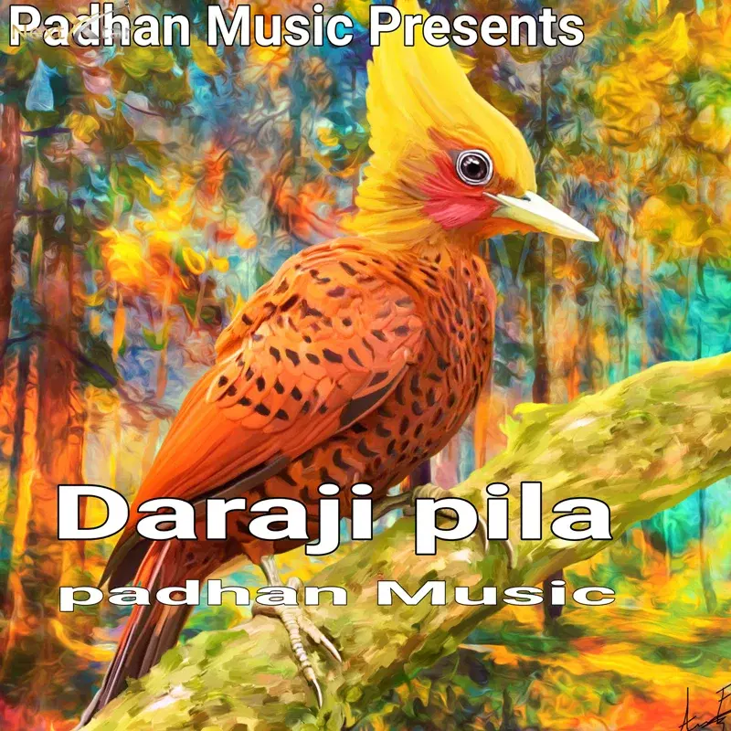 Daraji Pila