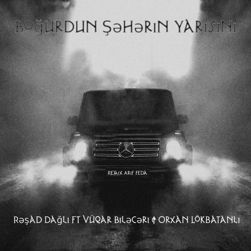 Boğurdun Şəhərin Yarısını