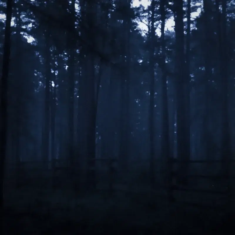 reluctance and woodland