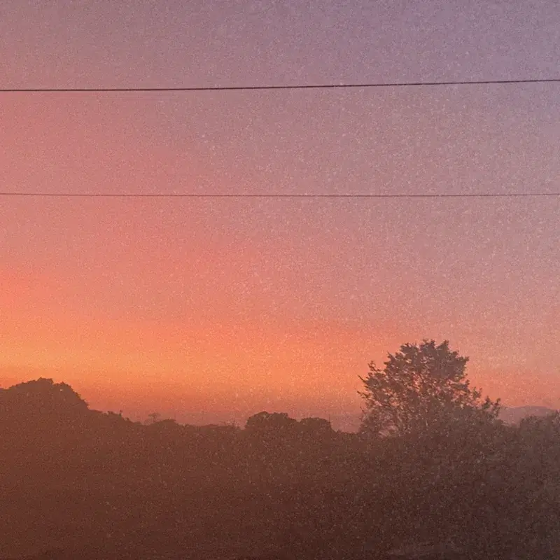 morgenmad