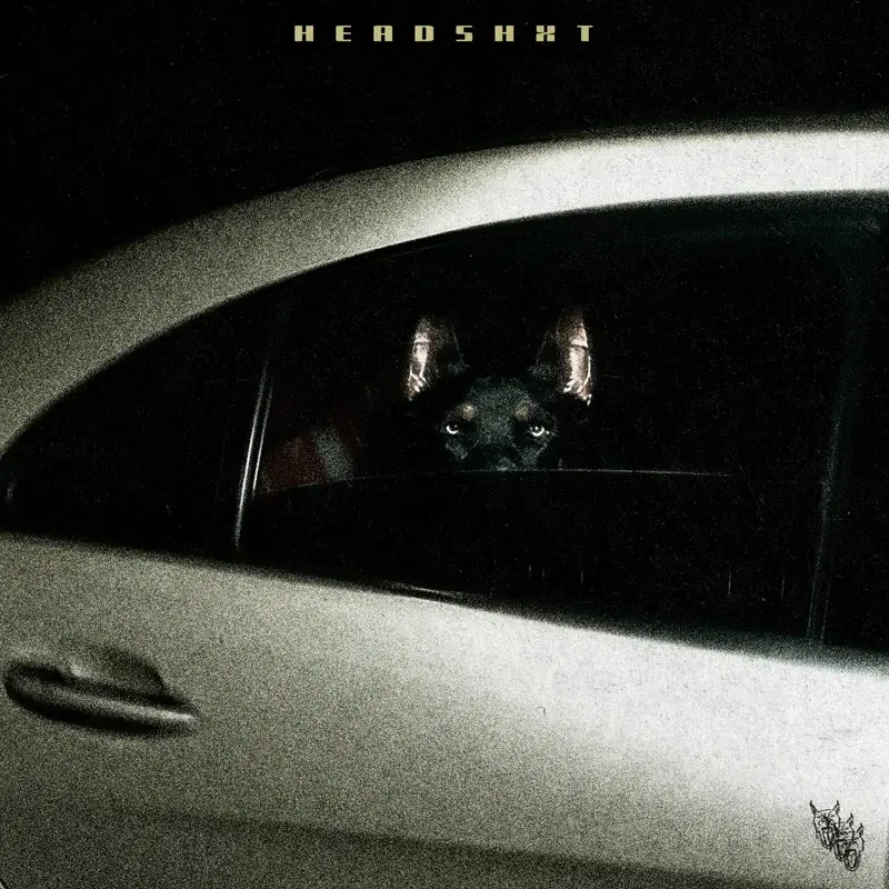 Headshxt