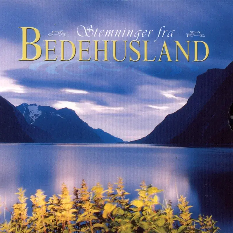 Stemninger Fra Bedehusland
