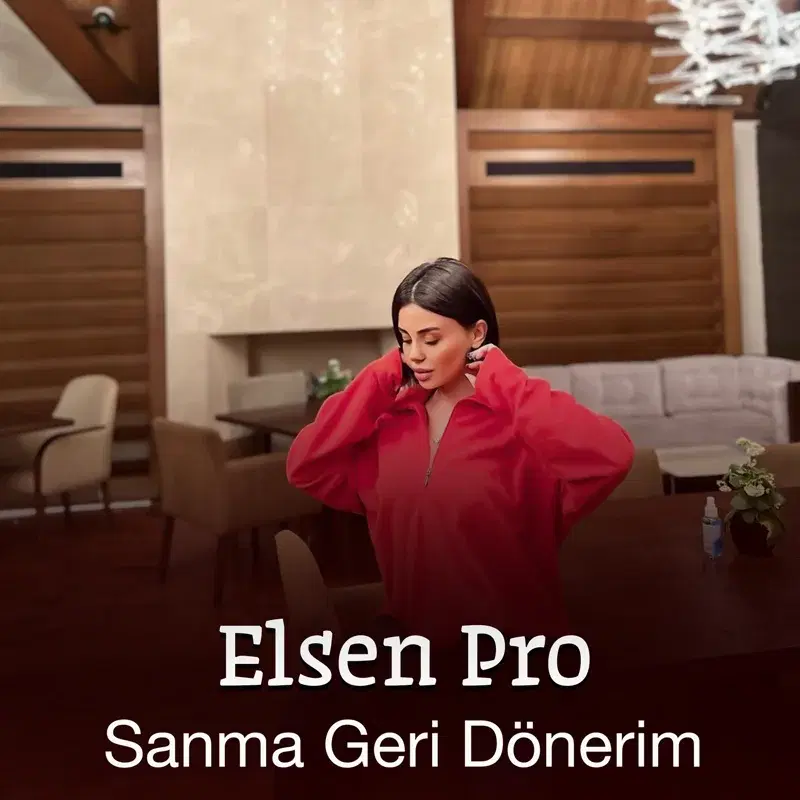 Sanma Geri Dönerim