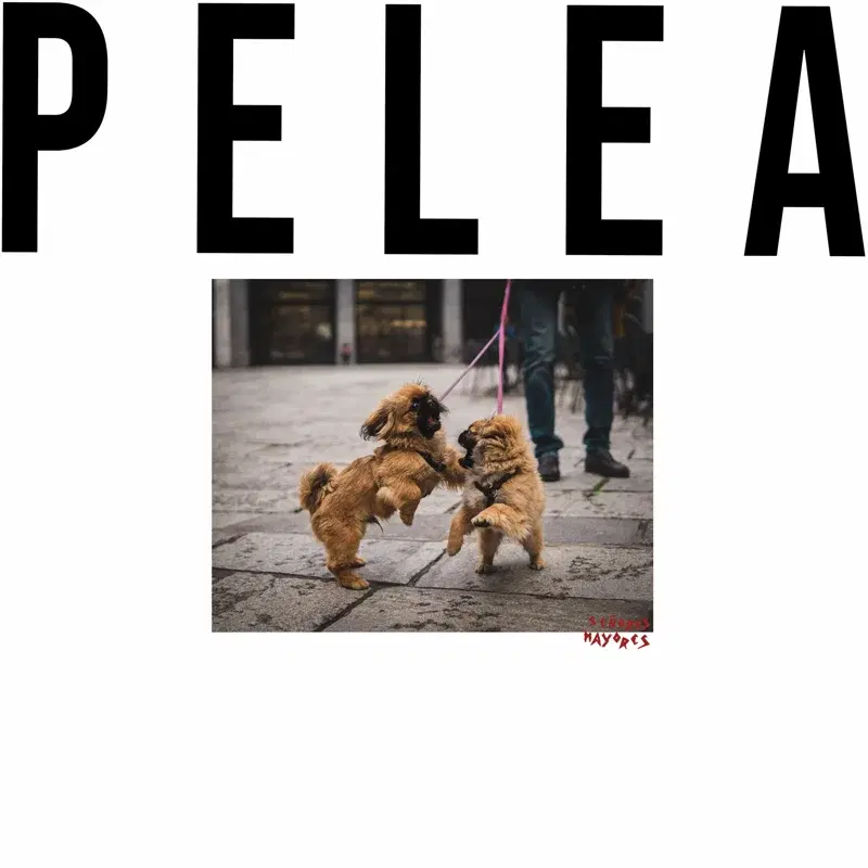 Pelea