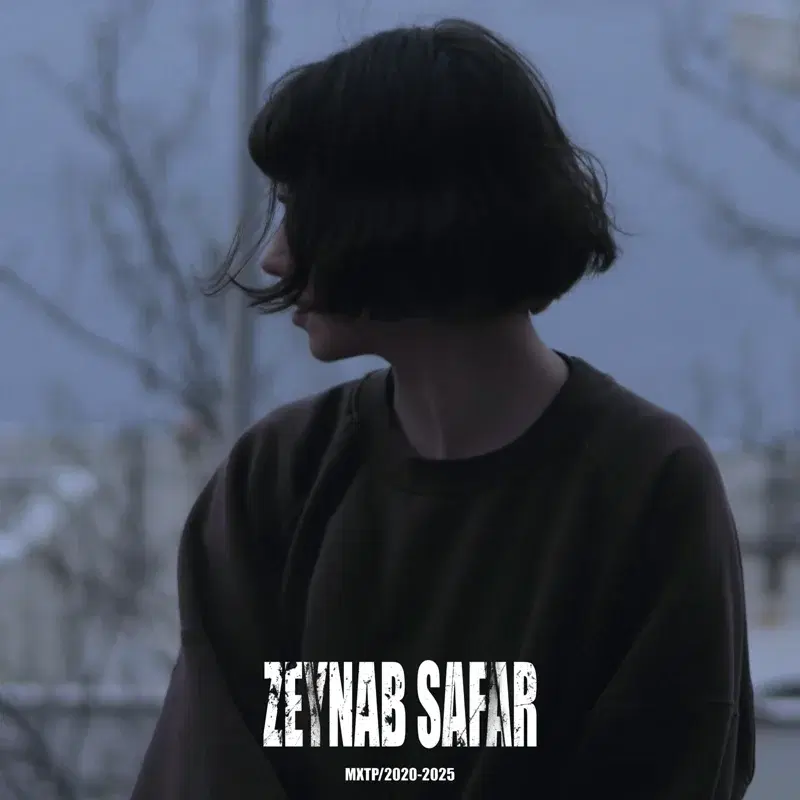 Zeynab Safar (2020-2025)
