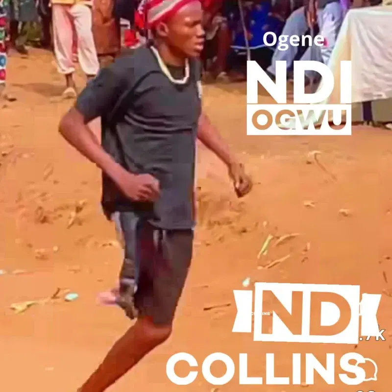 Ogene ndi ogwu