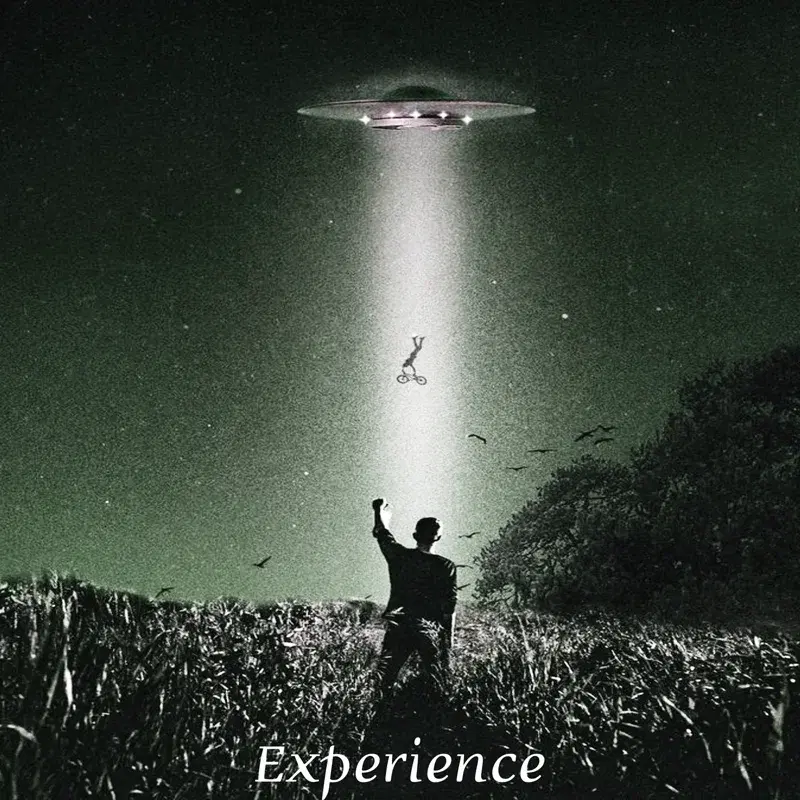 Experience
