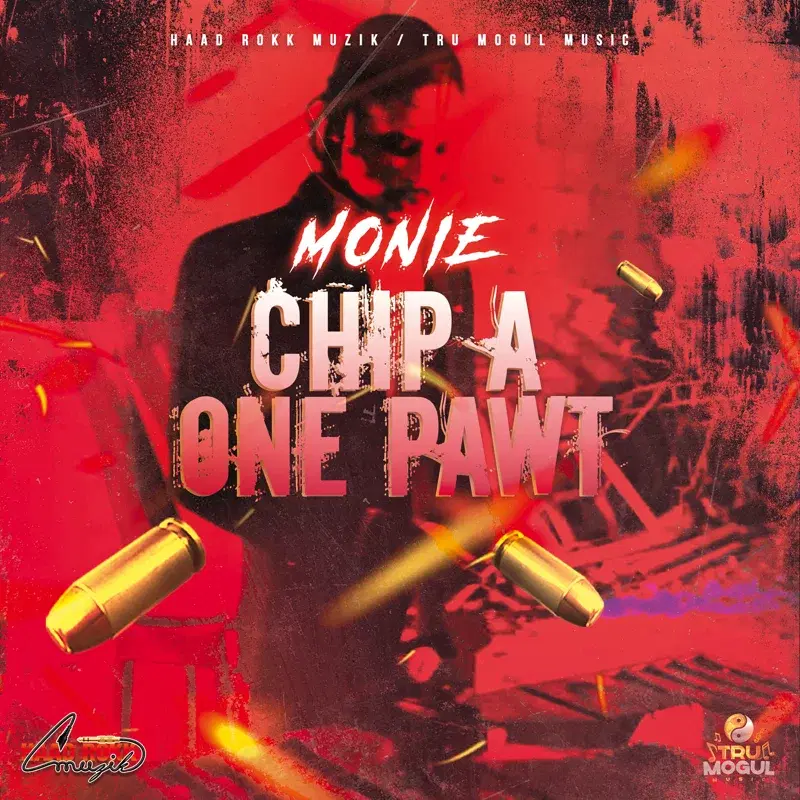 Chip a One Pawt