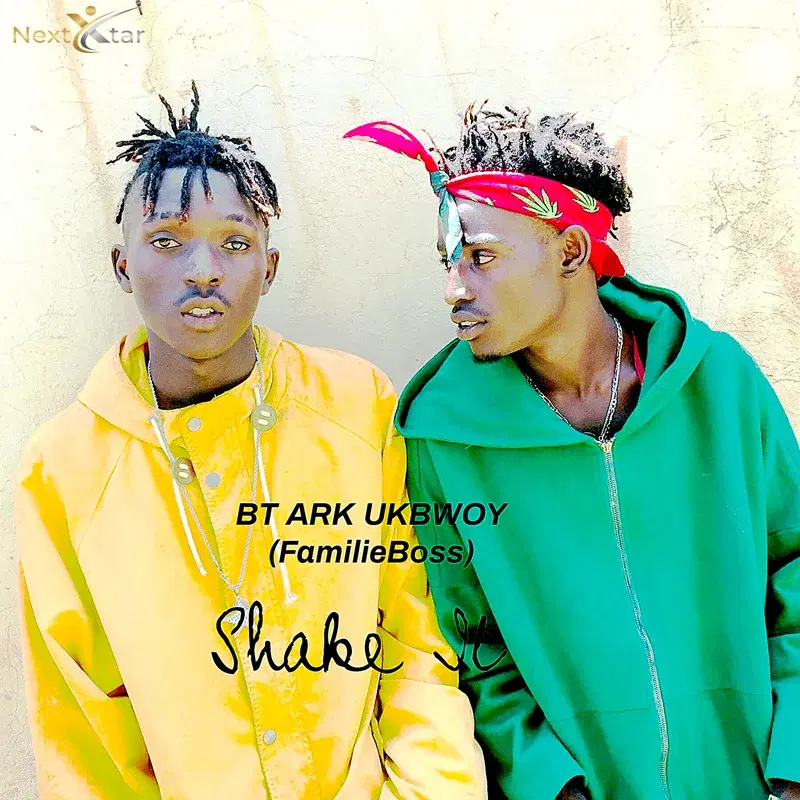 Shake It