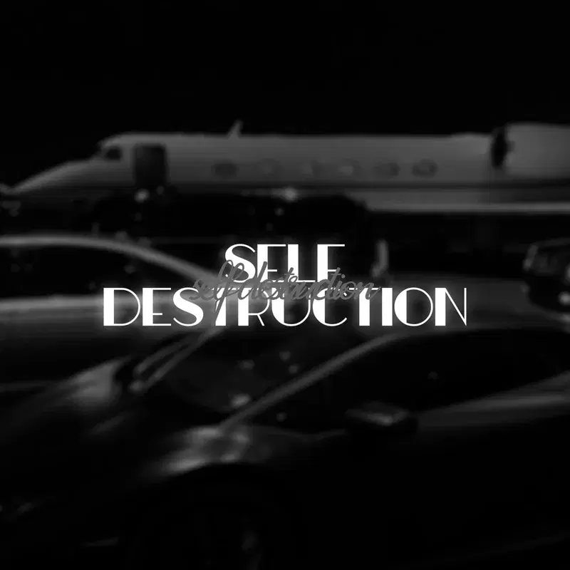 Self Destruction