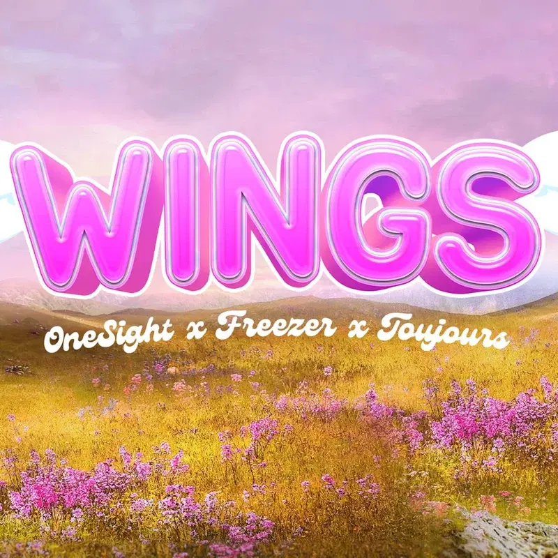 Wings