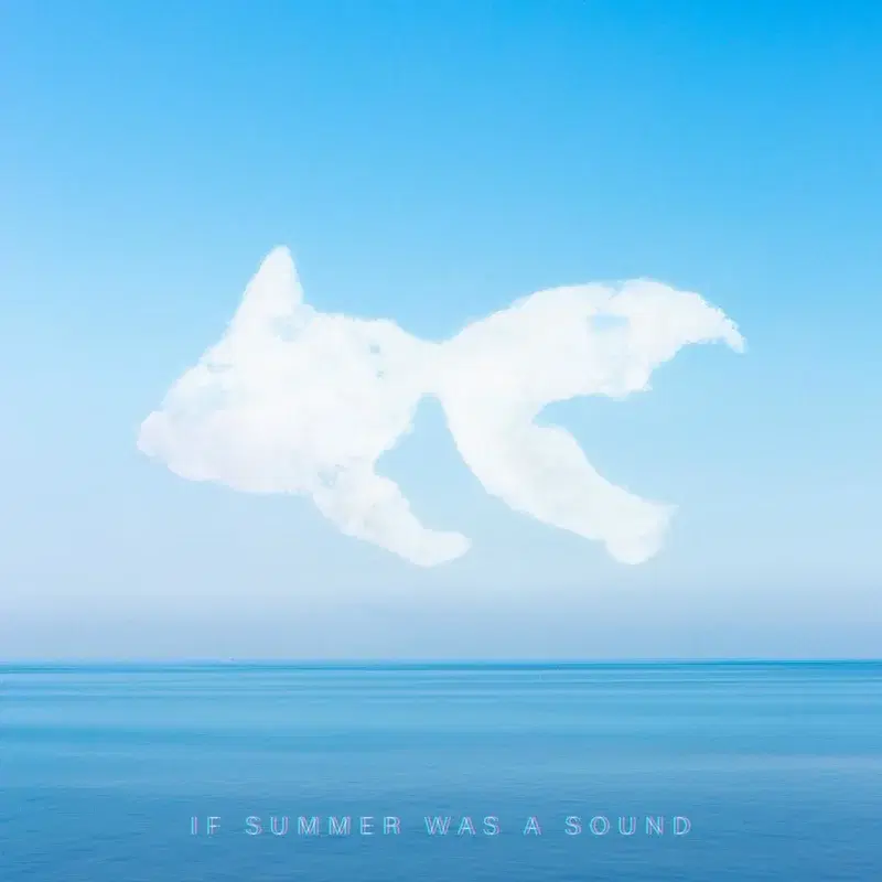 If Summer Was A Sound