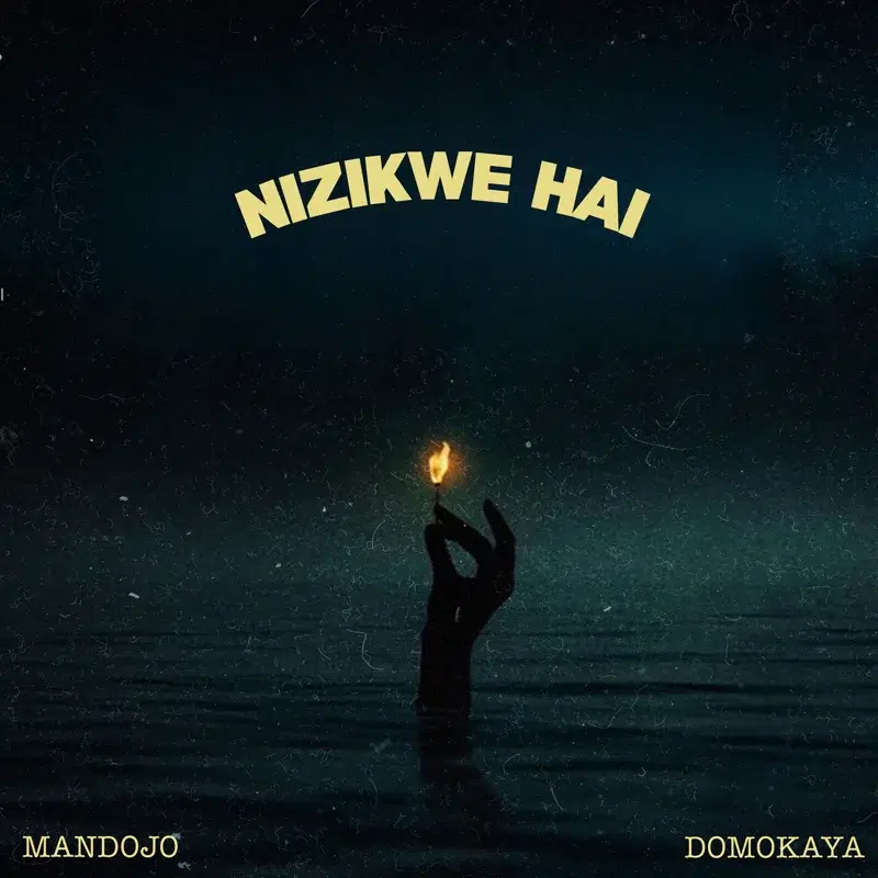Nizikwe Hai