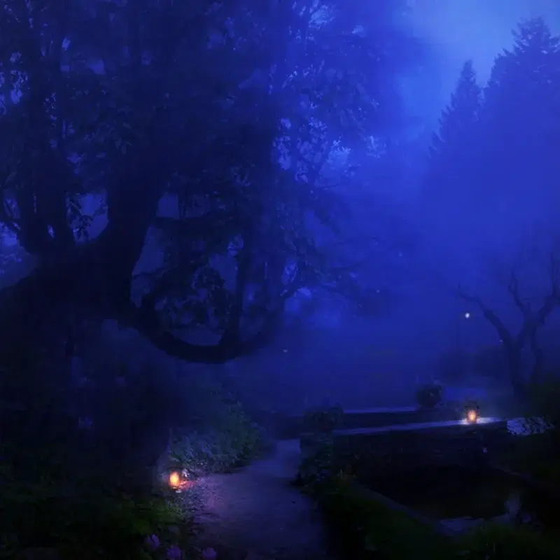 early dawn
