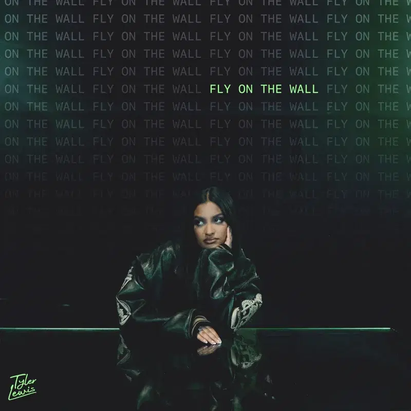 fly on the wall