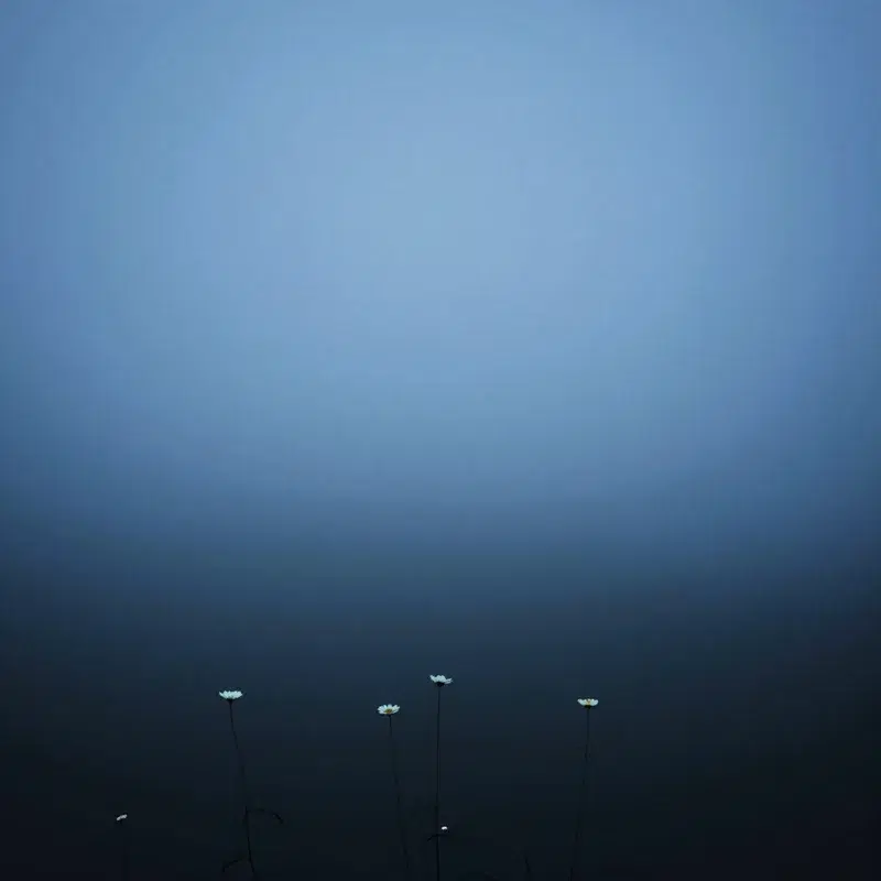 Lost Place