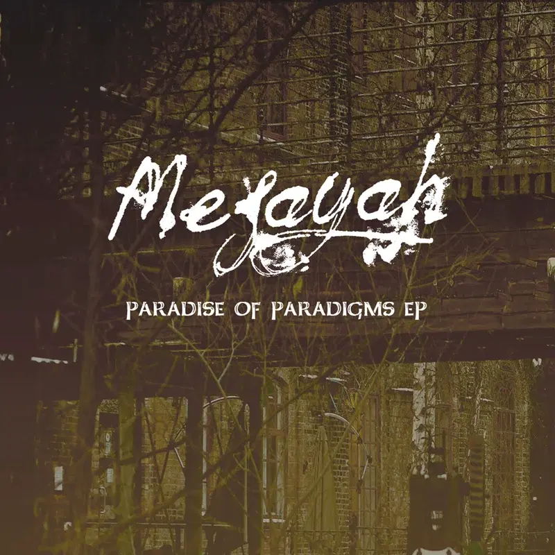 Paradise of Paradigms