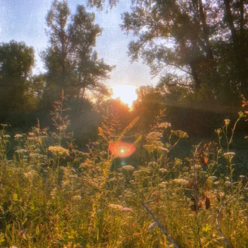silent noon