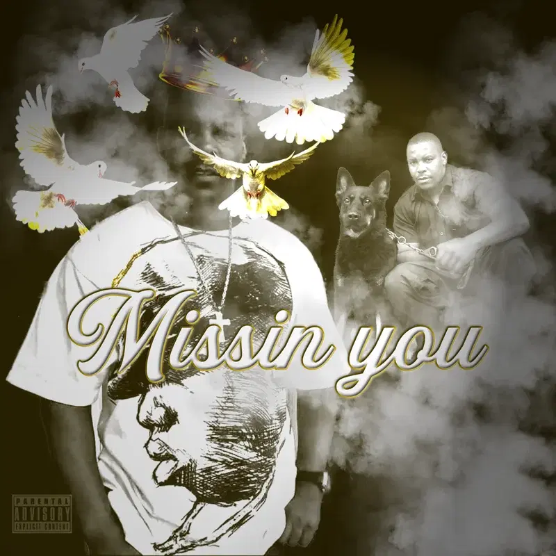 Missin You