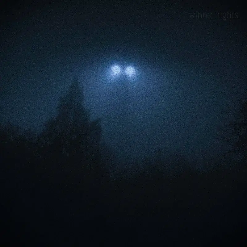 winter nights