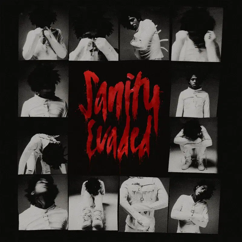 Sanity Evaded