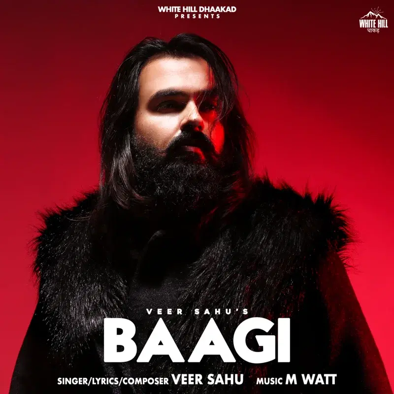 Baagi
