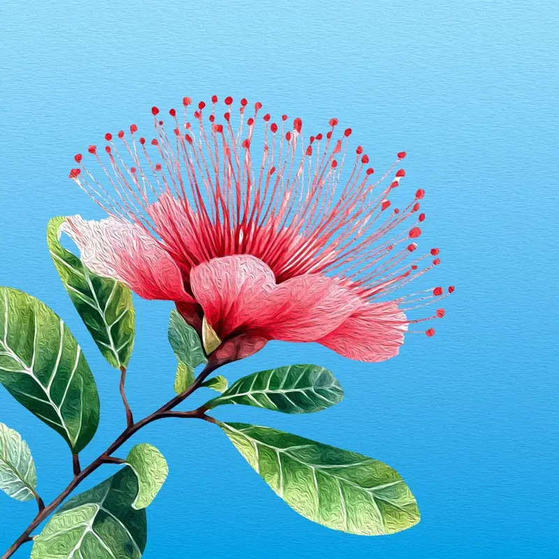 Caliandra