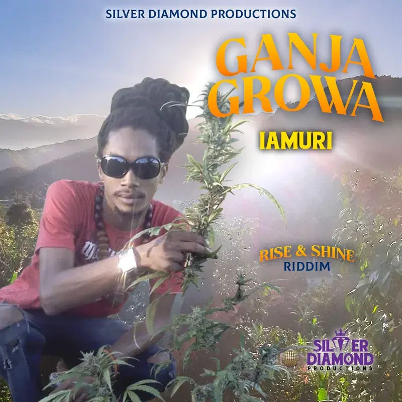 Ganja Growa