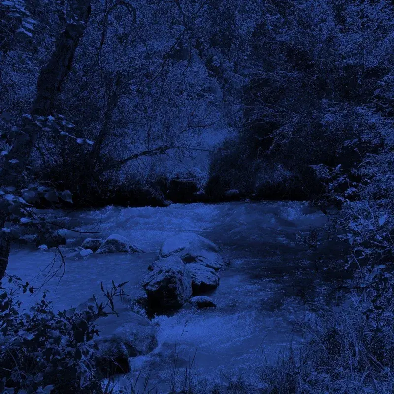 winter breeze